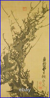 JAPANESE PAINTING ART Hanging Scroll 75.6 PIC Plum Tree Ink Antique Japan c109