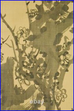 JAPANESE PAINTING ART Hanging Scroll 75.6 PIC Plum Tree Ink Antique Japan c109