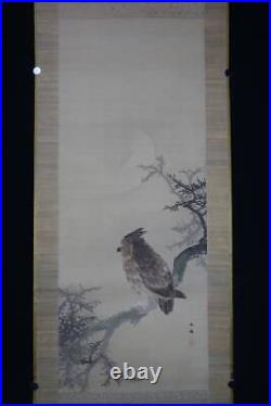 JAPANESE PAINTING Bird HANGING SCROLL Horned Owl JAPAN Antique Picture Moon f393
