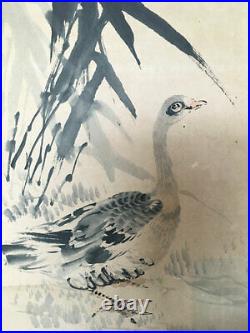 JAPANESE PAINTING Bird HANGING SCROLL JAPAN Picture DUCK ANTIQUE OLD ART 019m