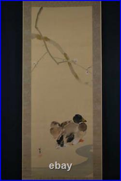 JAPANESE PAINTING Bird HANGING SCROLL JAPAN Picture DUCK ANTIQUE Old Plum 205m