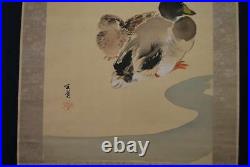 JAPANESE PAINTING Bird HANGING SCROLL JAPAN Picture DUCK ANTIQUE Old Plum 205m
