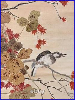 JAPANESE PAINTING Bird HANGING SCROLL OLD JAPAN Maple Autumn f508
