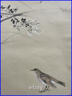 JAPANESE PAINTING Bird HANGING SCROLL OLD JAPAN Thrush Autumn f581