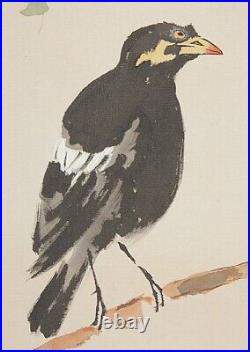 JAPANESE PAINTING HANGING SCROLL FROMJAPAN BIRD Gracula ANTIQUE PICTURE d570