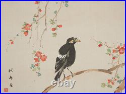 JAPANESE PAINTING HANGING SCROLL FROMJAPAN BIRD Gracula ANTIQUE PICTURE d570