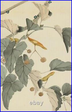 JAPANESE PAINTING HANGING SCROLL FROM JAPAN BIRD Old Art VINTAGE FLOWER 067r