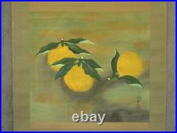 JAPANESE PAINTING HANGING SCROLL FROM JAPAN Citrus ANTIQUE OLD ART e859