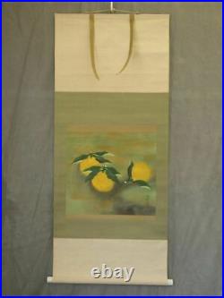 JAPANESE PAINTING HANGING SCROLL FROM JAPAN Citrus ANTIQUE OLD ART e859