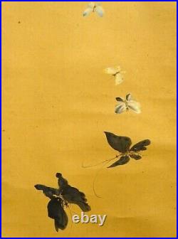 JAPANESE PAINTING HANGING SCROLL FROM JAPAN INK Butterfly ART OLD e350