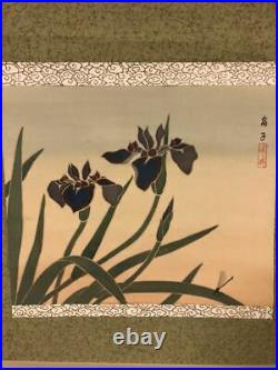 JAPANESE PAINTING HANGING SCROLL FROM JAPAN IRIS ANTIQUE OLD ART e529