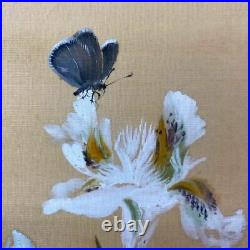 JAPANESE PAINTING HANGING SCROLL FROM JAPAN IRIS VINTAGE OLD Butterfly e562