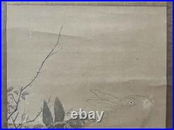 JAPANESE PAINTING HANGING SCROLL FROM JAPAN Ink Rabbit ANTIQUE Oukyo f737