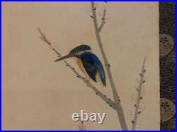 JAPANESE PAINTING HANGING SCROLL FROM JAPAN Kingfisher BIRD VINTAGE ART d582