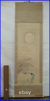 JAPANESE PAINTING HANGING SCROLL FROM JAPAN MOON Autumn grass ANTIQUE e974