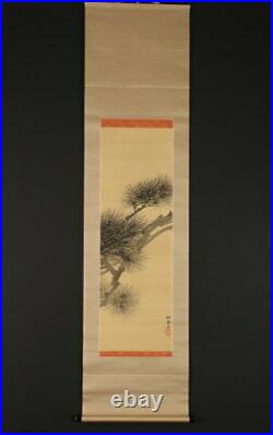 JAPANESE PAINTING HANGING SCROLL FROM JAPAN PINE AGE OLD ART KAKEJIKU 961p