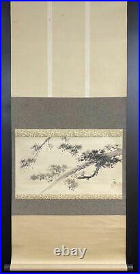 JAPANESE PAINTING HANGING SCROLL FROM JAPAN PINE AGE OLD ART KAKEJIKU e200