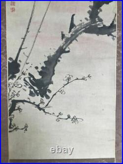 JAPANESE PAINTING HANGING SCROLL FROM JAPAN PLUM Sunrise PICTURE ANTIQUE e075
