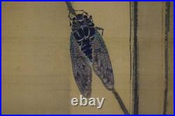 JAPANESE PAINTING HANGING SCROLL FROM JAPAN Pine Cicada Antique cascade 744p
