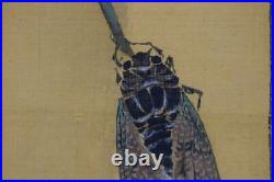 JAPANESE PAINTING HANGING SCROLL FROM JAPAN Pine Cicada Antique cascade 744p