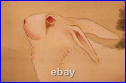 JAPANESE PAINTING HANGING SCROLL FROM JAPAN Rabbit VINTAGE PICTURE AGED e045