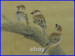 JAPANESE PAINTING HANGING SCROLL FROM JAPAN SPARROW PLUM Vintage PICTURE 867p