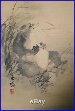 JAPANESE PAINTING HANGING SCROLL From JAPAN Raccoon Dog ANTIQUE PICTURE d548