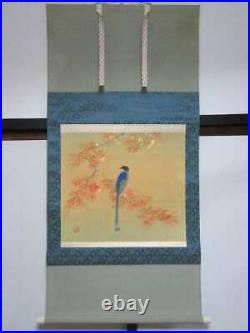 JAPANESE PAINTING HANGING SCROLL JAPAN Autumn Old Art Maple VINTAGE Bird 660p