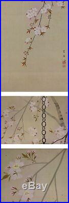 JAPANESE PAINTING HANGING SCROLL JAPAN Cherry Blossoms ORIGINAL ANTIQUE ART 830i