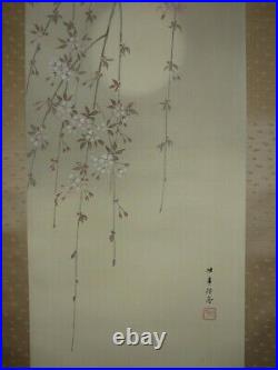 JAPANESE PAINTING HANGING SCROLL JAPAN Cherry Blossoms TREE MOON Old 731p