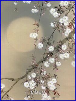 JAPANESE PAINTING HANGING SCROLL JAPAN Cherry Blossoms TREE MOON Old e249