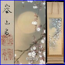 JAPANESE PAINTING HANGING SCROLL JAPAN Cherry Blossoms TREE MOON Old e249