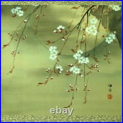 JAPANESE PAINTING HANGING SCROLL JAPAN Cherry Blossoms TREE MOON Old e442