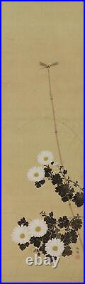 JAPANESE PAINTING HANGING SCROLL JAPAN Dragonfly Chrysanthemum Antique 762p