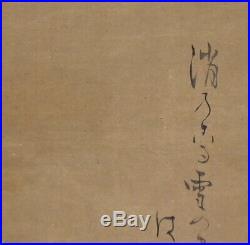 JAPANESE PAINTING HANGING SCROLL JAPAN PINE OLD Matsumura ANTIQUE ORIGINAL 049m