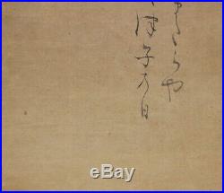 JAPANESE PAINTING HANGING SCROLL JAPAN PINE OLD Matsumura ANTIQUE ORIGINAL 049m