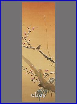 JAPANESE PAINTING HANGING SCROLL JAPAN PLUM NIGHTINGALE Antique Warbler 641q