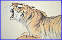 JAPANESE PAINTING HANGING SCROLL Japan ART TIGER VINTAGE OLD PICTURE AGED e291