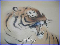 JAPANESE PAINTING HANGING SCROLL Japan CAT TIGER VINTAGE OLD PICTURE AGED d836