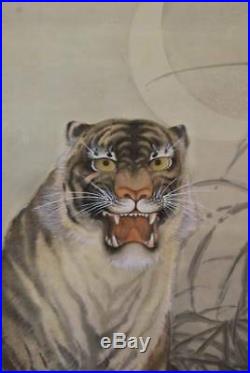 JAPANESE PAINTING HANGING SCROLL Japan Tiger ANTIQUE MOON PAINT ART PICTURE 538i