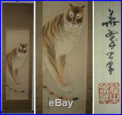 JAPANESE PAINTING HANGING SCROLL Japan Tiger ANTIQUE PAINT ART PICTURE 195m