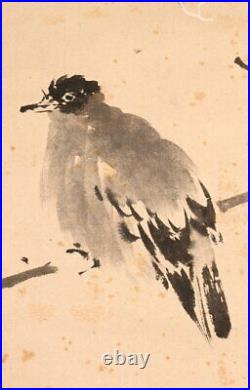 JAPANESE PAINTING HANGING SCROLL OLD JAPAN Tree BIRD Antique japan Ink f128