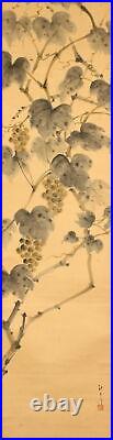 JAPANESE PAINTING HANGING SCROLL OLD JAPAN VINTAGE grapes fruits f446