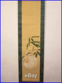 JAPANESE PAINTING HANGING SCROLL RABBIT BAMBOO JAPAN PICTURE OLD ART d081