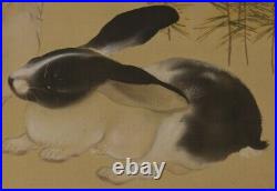 JAPANESE PAINTING HANGING SCROLL White RABBIT ART JAPAN PICTURE ANTIQUE d864