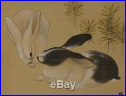 JAPANESE PAINTING HANGING SCROLL White RABBIT ART JAPAN PICTURE OLD d864