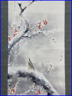 JAPANESE PAINTING HANGING SCROLL nightingale JAPAN Warbler BIRD Plum Snow f822