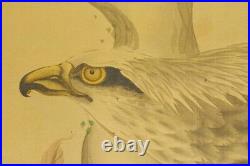 JAPANESE PAINTING Hanging Scroll HAWK AGED OLD ART Picture VINTAGE Japan c714