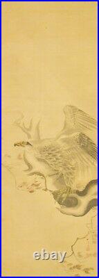 JAPANESE PAINTING Hanging Scroll HAWK AGED OLD ART Picture VINTAGE Japan c714