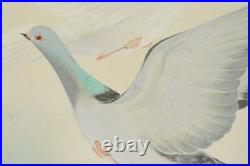 JAPANESE PAINTING Pigeon HANGING SCROLL 55.9 Peace ART OLD Antique Japan c147